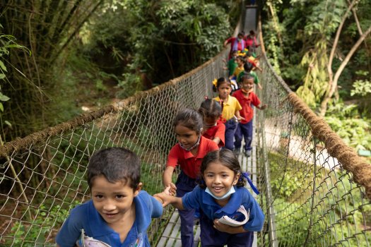 Young students cross a suspension bridge surrounded by lush green plants.
