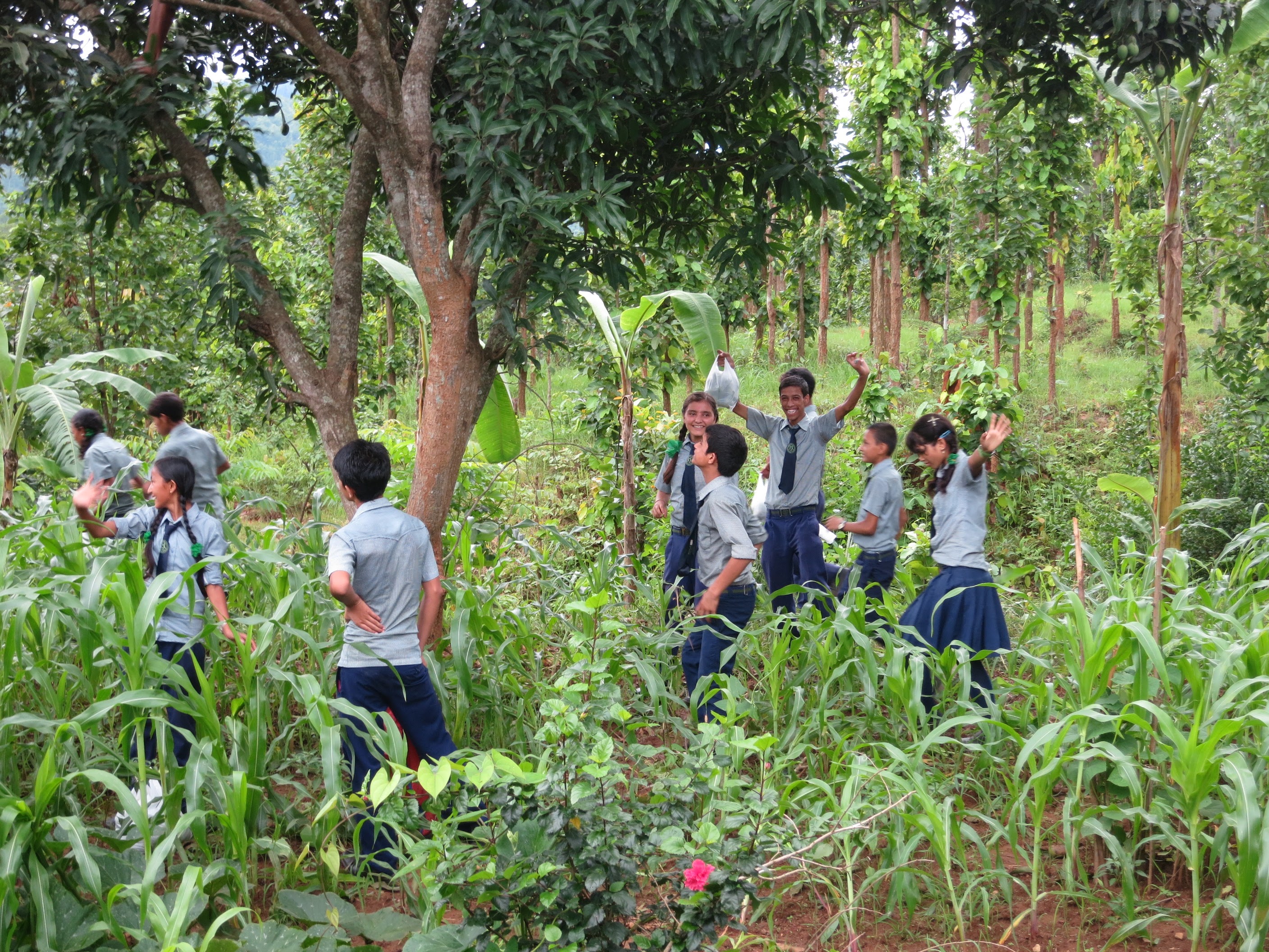 Sustainability At Kopila Valley: Part 2- Eco-Ambassadors