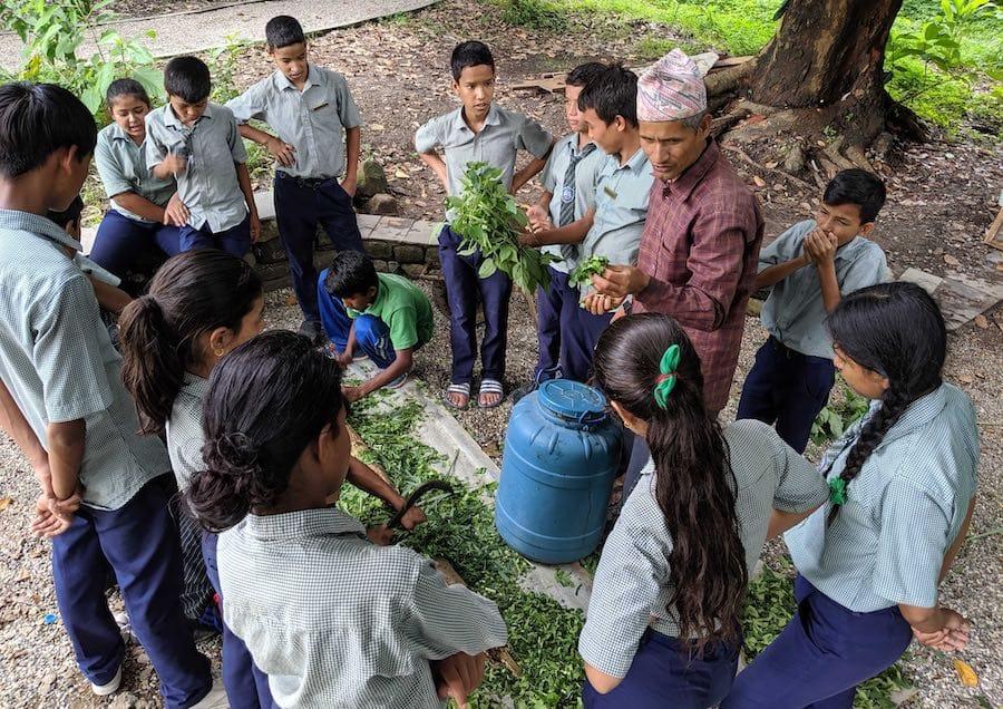 A group of students in school uniforms gathers around a man teaching them about plants. They are outdoors, surrounded by greenery, with a large blue container nearby. Some students are crouching while others stand attentively.