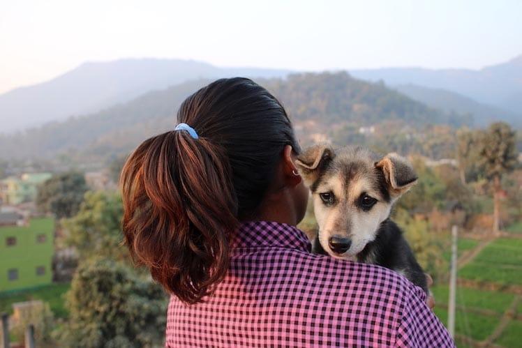 A person with a ponytail and a checkered shirt holds a puppy while standing outdoors. The background features a scenic view of green hills and distant mountains under a clear sky.
