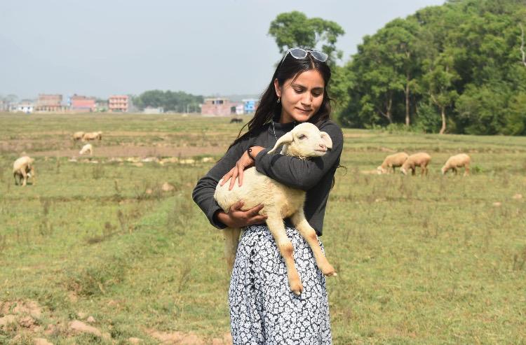 A woman stands in a grassy field, gently holding a lamb. There are sheep grazing in the background, and a few distant buildings and trees under a clear sky.