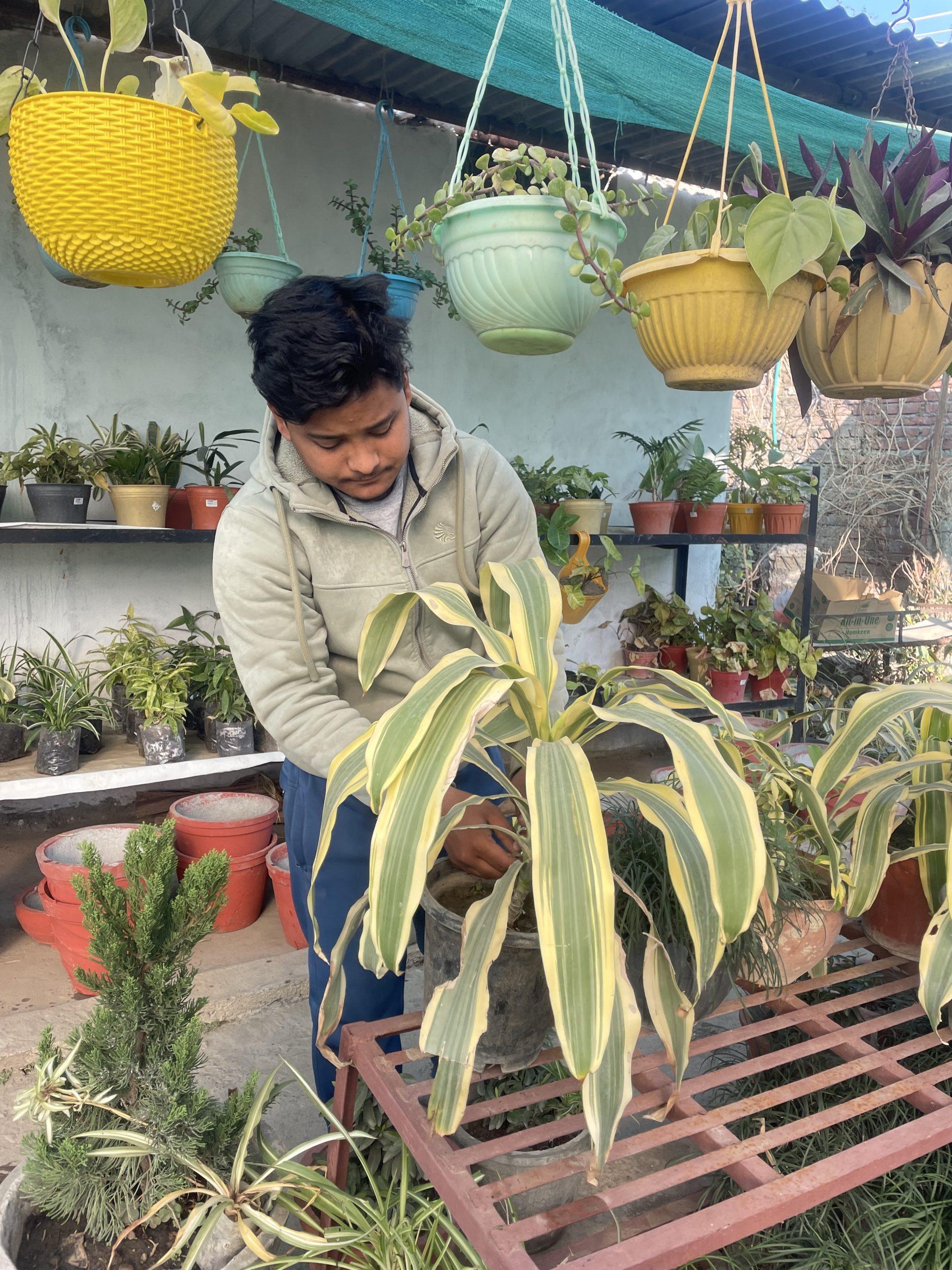 A person tending to a plant in a garden shop. They are surrounded by various potted plants, with several hanging pots above. Shelves in the background hold more greenery, and the shop has a rustic, open-air feel.