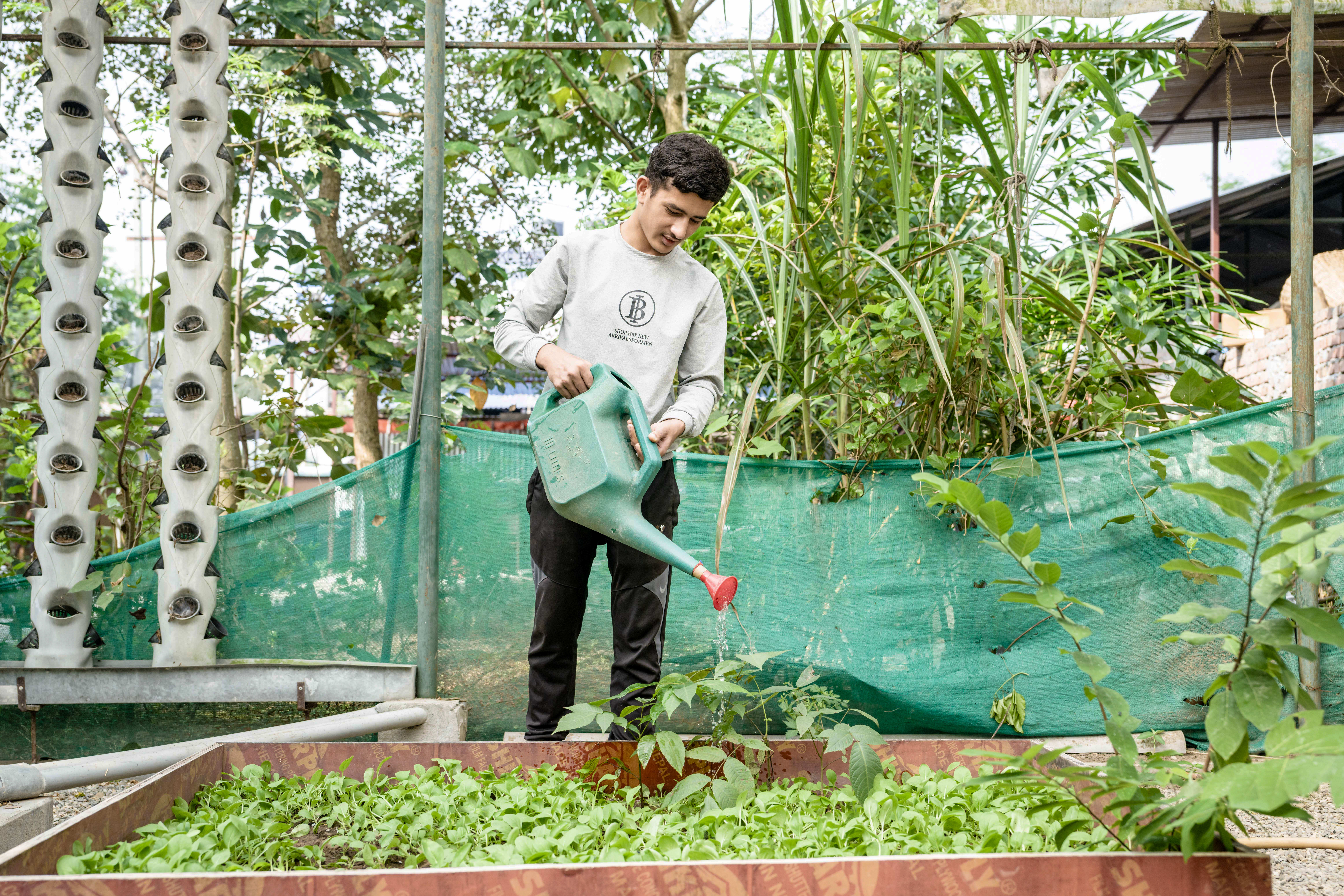 A man watering plants in a garden.
