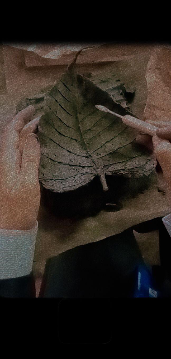 A pair of hands holds a dried, cracked leaf while carefully tracing or cleaning it with a small tool on a brown surface, possibly during a scientific or archaeological examination.