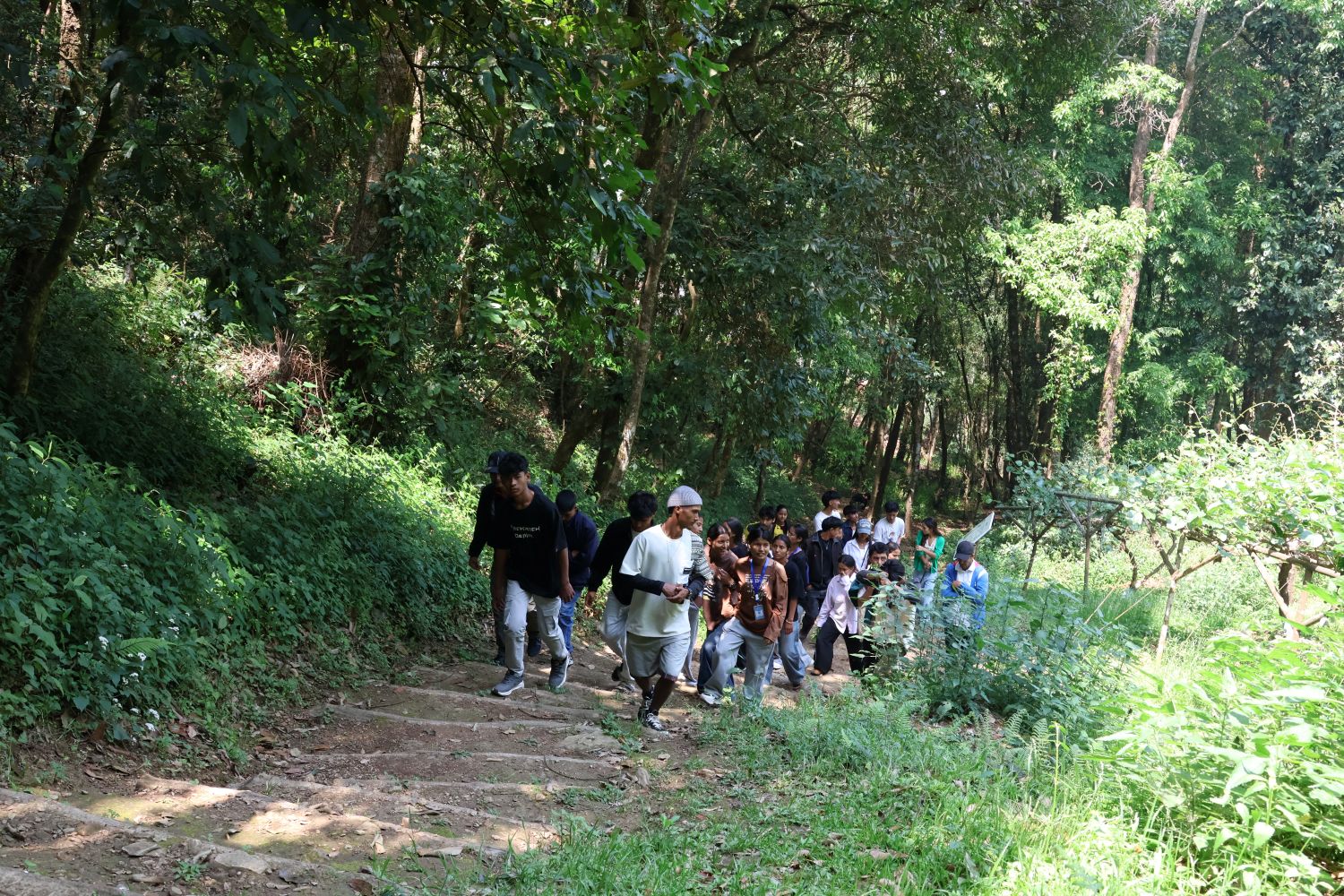 A group of students walk on a steep path in a lush, green forest.