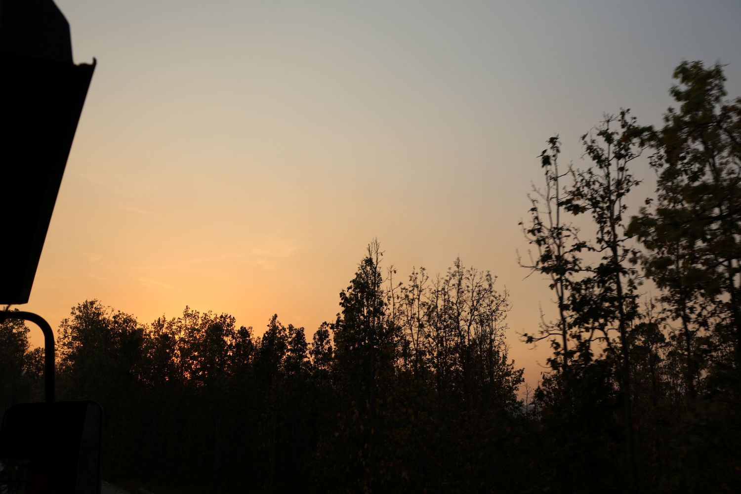 A sky at the end of sunset, with the silhouettes of trees in the foreground.