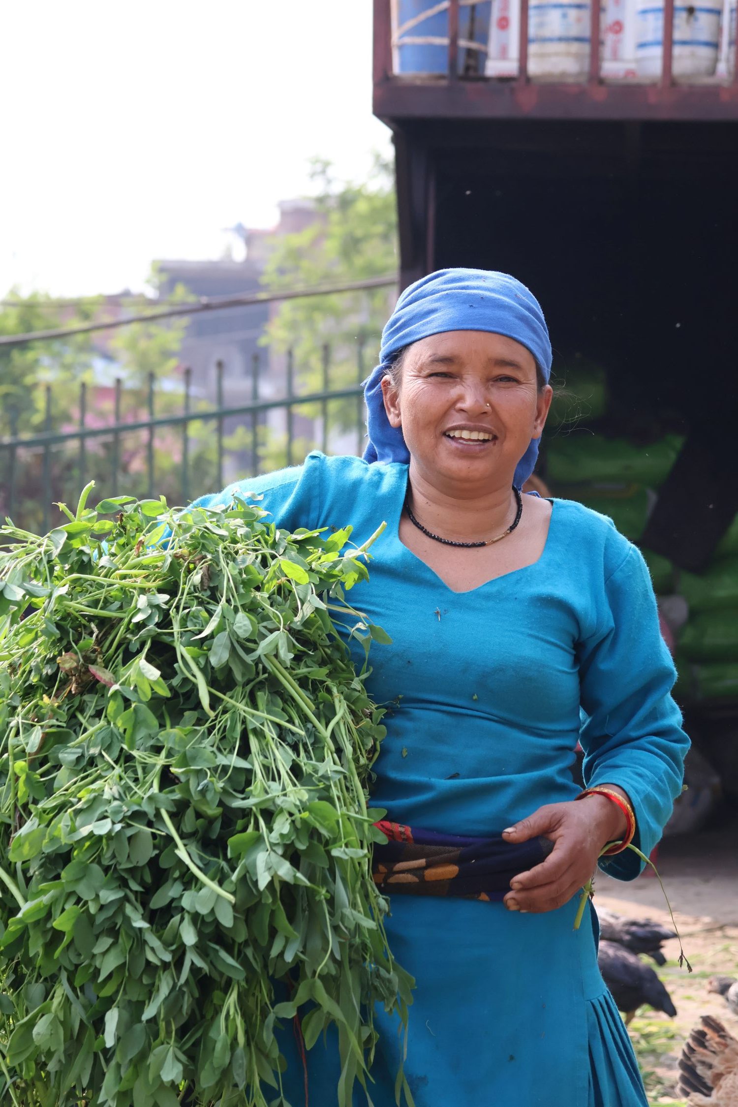 A woman in a blue dress and blue head scarf smiles and holds a large bunch of green hay or vegetables.