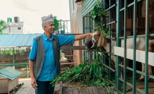 A man wearing a topi, blue shirt, and vest pets a goat through a fence.